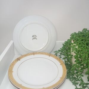 Pegasus Elegant 4pc Gold and White Salad Plate Set